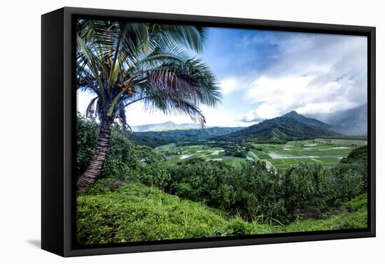 Hanalei Valley-Danny Head-Framed Premier Image Canvas