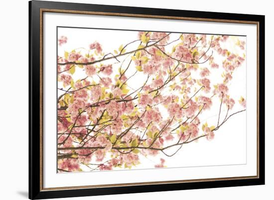 Hanami II-Katja Marzahn-Framed Giclee Print