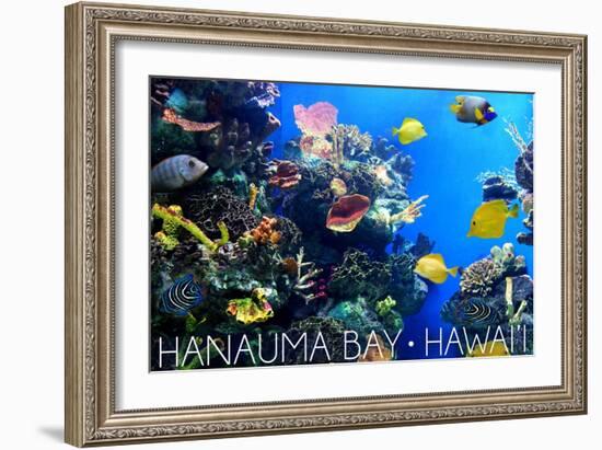 Hanauma Bay, Hawai'i - Fish and Coral 1-Lantern Press-Framed Art Print