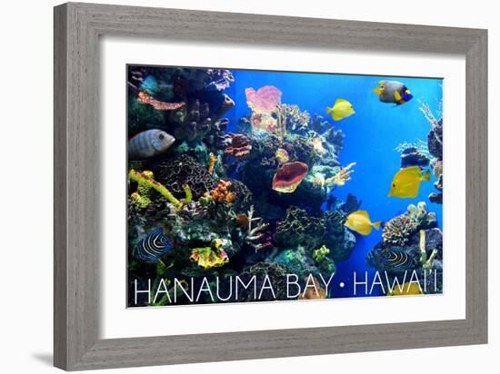 Hanauma Bay, Hawai'i - Fish and Coral 1-Lantern Press-Framed Art Print