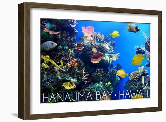 Hanauma Bay, Hawai'i - Fish and Coral 1-Lantern Press-Framed Art Print