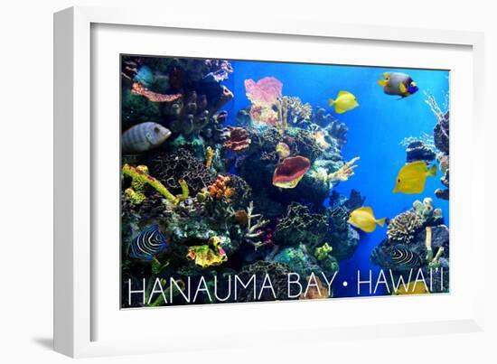 Hanauma Bay, Hawai'i - Fish and Coral 1-Lantern Press-Framed Art Print