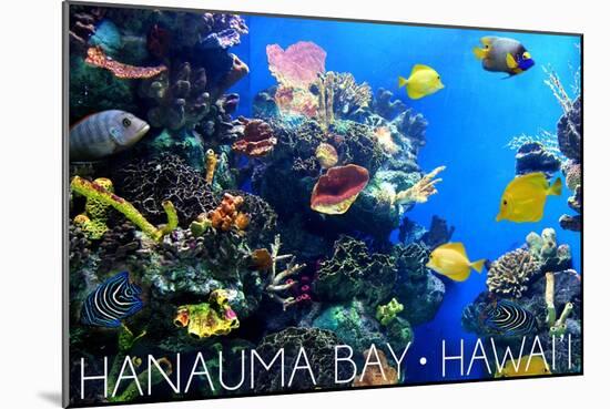 Hanauma Bay, Hawai'i - Fish and Coral 1-Lantern Press-Mounted Art Print