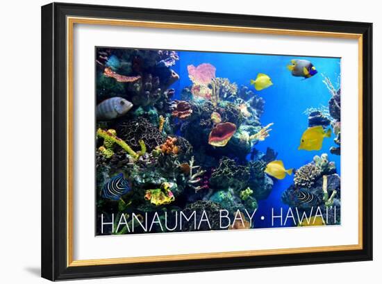 Hanauma Bay, Hawai'i - Fish and Coral 1-Lantern Press-Framed Art Print