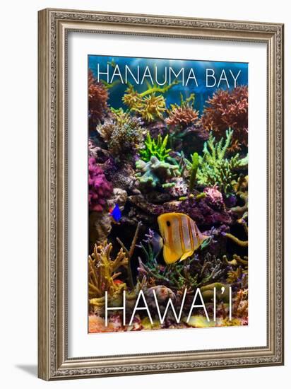 Hanauma Bay, Hawai'i - Fish and Coral 2-Lantern Press-Framed Art Print