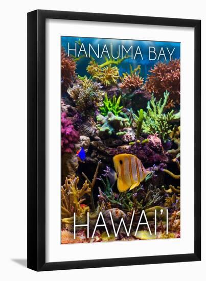 Hanauma Bay, Hawai'i - Fish and Coral 2-Lantern Press-Framed Art Print