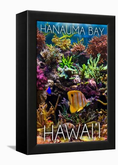 Hanauma Bay, Hawai'i - Fish and Coral 2-Lantern Press-Framed Stretched Canvas