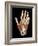 Hand Anatomy, Artwork-Jose Antonio-Framed Photographic Print