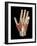 Hand Anatomy, Artwork-Jose Antonio-Framed Photographic Print