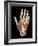 Hand Anatomy, Artwork-Jose Antonio-Framed Photographic Print