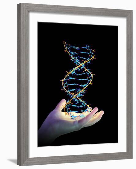 Hand And DNA Molecule-PASIEKA-Framed Photographic Print