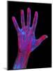 Hand Blood Supply, Artwork-Mehau Kulyk-Mounted Photographic Print