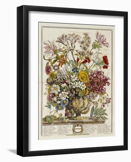 Hand Colored Engraving of Bouquet- October, 1730-Robert Furber-Framed Giclee Print