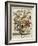 Hand Colored Engraving of Bouquet- October, 1730-Robert Furber-Framed Giclee Print