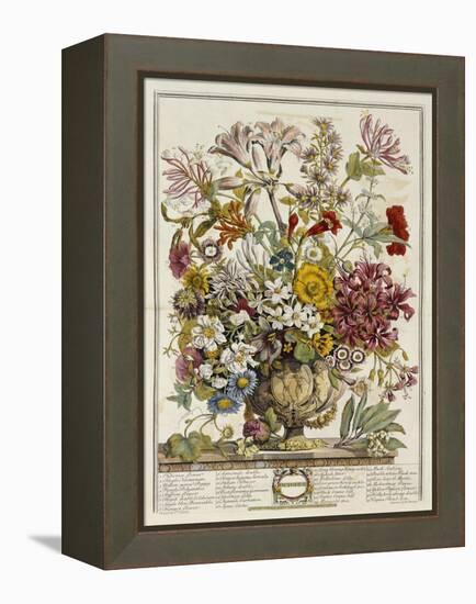 Hand Colored Engraving of Bouquet- October, 1730-Robert Furber-Framed Premier Image Canvas