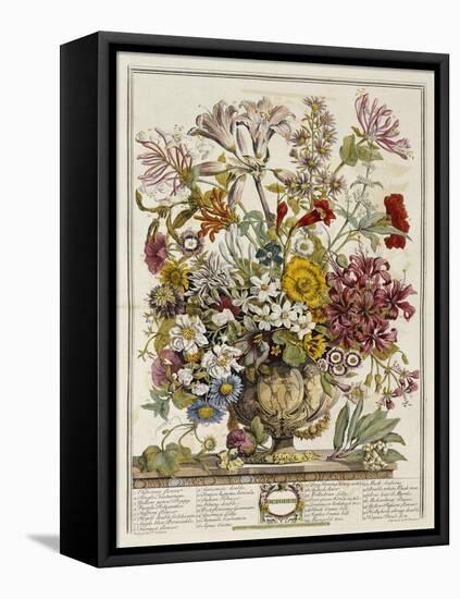 Hand Colored Engraving of Bouquet- October, 1730-Robert Furber-Framed Premier Image Canvas