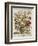 Hand Colored Engraving of Bouquet- October, 1730-Robert Furber-Framed Giclee Print