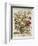 Hand Colored Engraving of Bouquet- October, 1730-Robert Furber-Framed Giclee Print