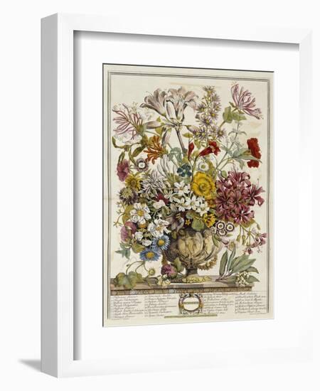 Hand Colored Engraving of Bouquet- October, 1730-Robert Furber-Framed Giclee Print