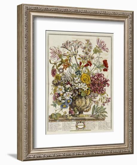 Hand Colored Engraving of Bouquet- October, 1730-Robert Furber-Framed Premium Giclee Print