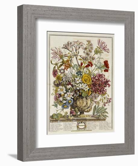 Hand Colored Engraving of Bouquet- October, 1730-Robert Furber-Framed Premium Giclee Print