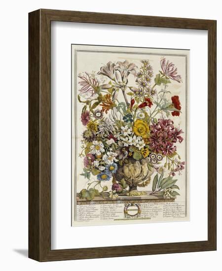 Hand Colored Engraving of Bouquet- October, 1730-Robert Furber-Framed Premium Giclee Print