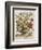 Hand Colored Engraving of Bouquet- October, 1730-Robert Furber-Framed Premium Giclee Print