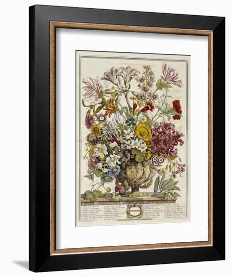 Hand Colored Engraving of Bouquet- October, 1730-Robert Furber-Framed Premium Giclee Print