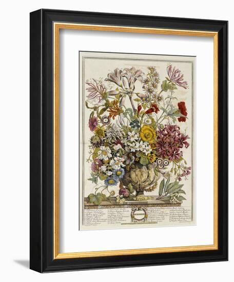 Hand Colored Engraving of Bouquet- October, 1730-Robert Furber-Framed Premium Giclee Print