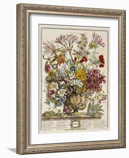 Hand Colored Engraving of Bouquet- October, 1730-Robert Furber-Framed Giclee Print