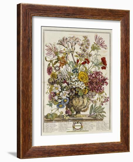 Hand Colored Engraving of Bouquet- October, 1730-Robert Furber-Framed Giclee Print