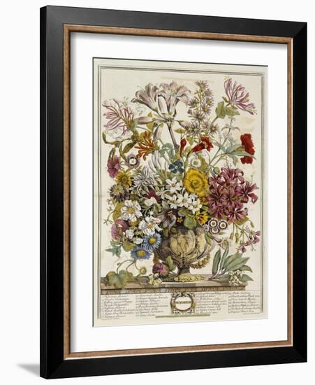 Hand Colored Engraving of Bouquet- October, 1730-Robert Furber-Framed Giclee Print