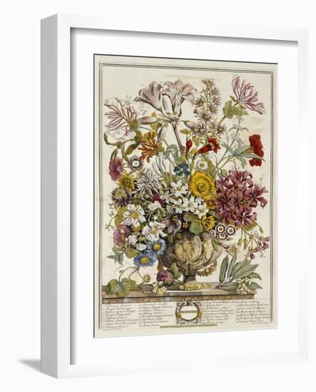 Hand Colored Engraving of Bouquet- October, 1730-Robert Furber-Framed Giclee Print