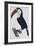 Hand Coloured Engraving of a Toucan, 1806-Francois Levaillant-Framed Giclee Print