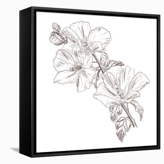 Hand Drawing Hibiscus Flower-Acnaleksy-Framed Stretched Canvas