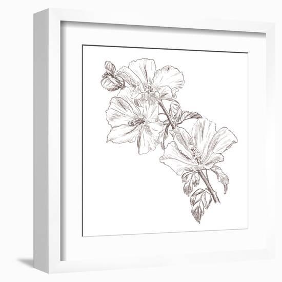 Hand Drawing Hibiscus Flower-Acnaleksy-Framed Art Print