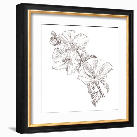 Hand Drawing Hibiscus Flower-Acnaleksy-Framed Art Print