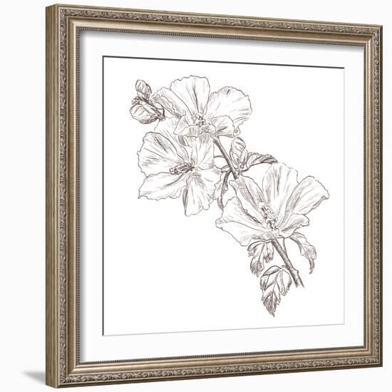 Hand Drawing Hibiscus Flower-Acnaleksy-Framed Art Print