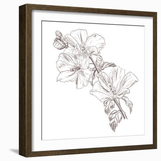 Hand Drawing Hibiscus Flower-Acnaleksy-Framed Art Print