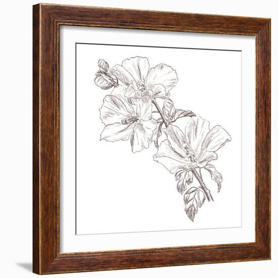 Hand Drawing Hibiscus Flower-Acnaleksy-Framed Art Print