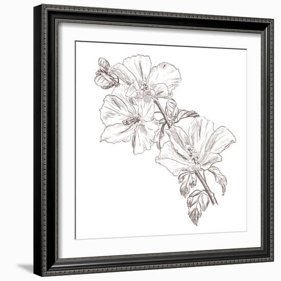 Hand Drawing Hibiscus Flower-Acnaleksy-Framed Art Print