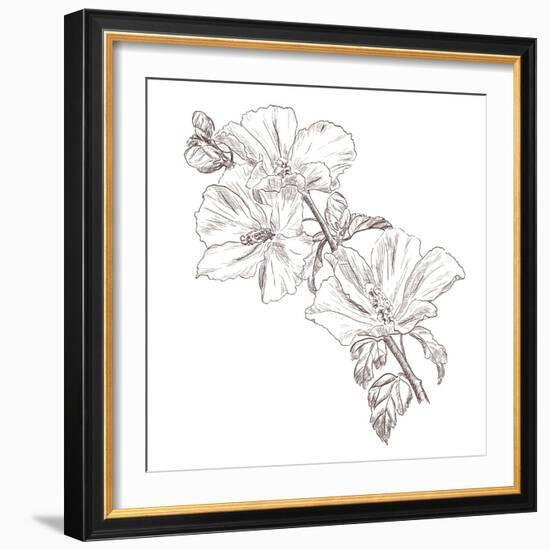 Hand Drawing Hibiscus Flower-Acnaleksy-Framed Art Print