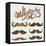 Hand Drawn Brown Mustache Set-Melindula-Framed Stretched Canvas