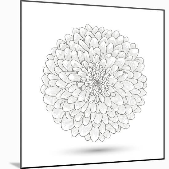 Hand-Drawn Flower Chrysanthemum. Element For Design. Abstract Floral Background-Helga Pataki-Mounted Art Print