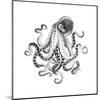 Hand-Drawn Illustration Octopus, Vector Isolate on White Background.-Nikiparonak-Mounted Art Print