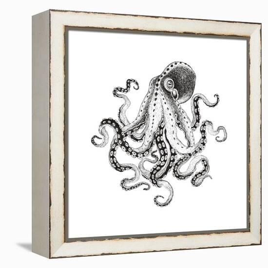 Hand-Drawn Illustration Octopus, Vector Isolate on White Background.-Nikiparonak-Framed Stretched Canvas