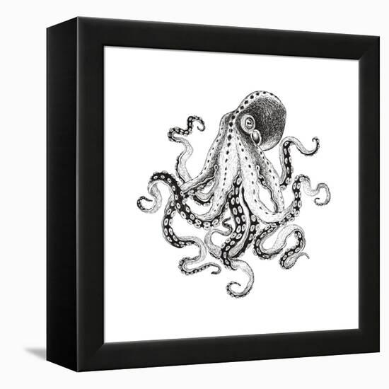 Hand-Drawn Illustration Octopus, Vector Isolate on White Background.-Nikiparonak-Framed Stretched Canvas