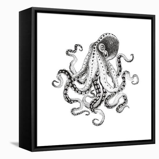 Hand-Drawn Illustration Octopus, Vector Isolate on White Background.-Nikiparonak-Framed Stretched Canvas