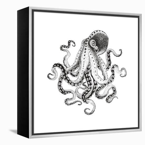 Hand-Drawn Illustration Octopus, Vector Isolate on White Background.-Nikiparonak-Framed Stretched Canvas