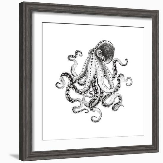 Hand-Drawn Illustration Octopus, Vector Isolate on White Background.-Nikiparonak-Framed Premium Giclee Print